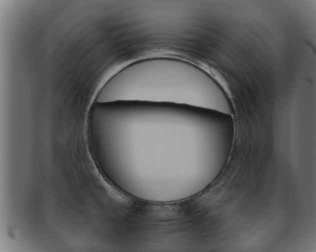 X0000091961429200709061051