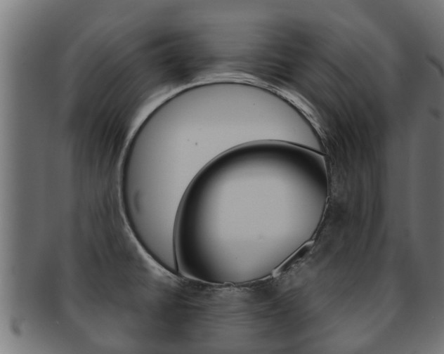 X0000091961430200709061051
