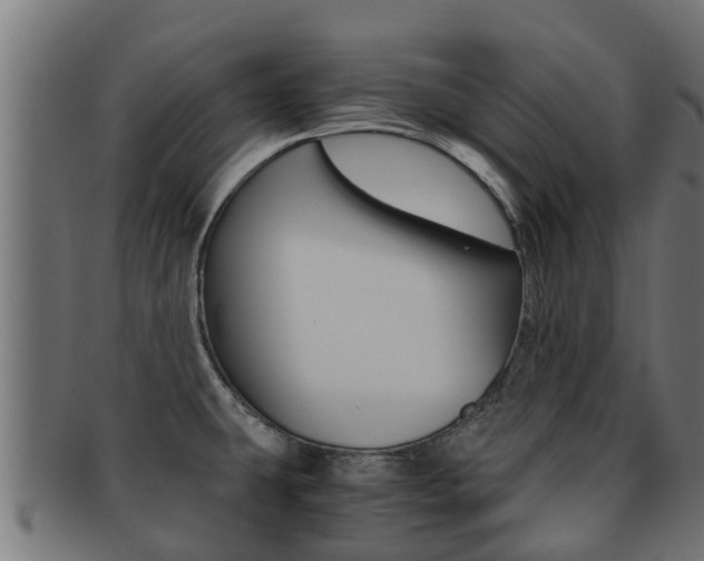 X0000091961431200709061051