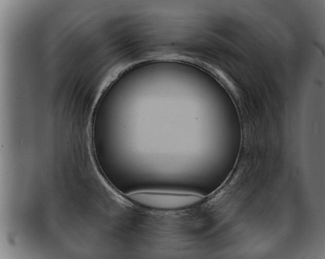 X0000091961432200709061051