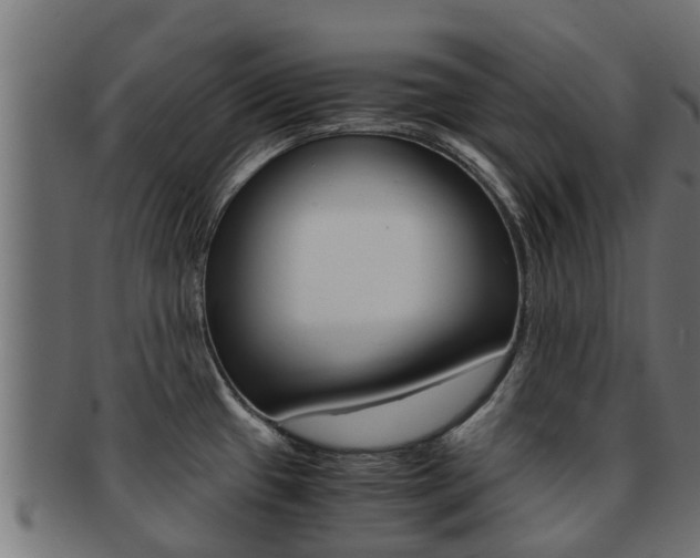X0000091961433200709061051