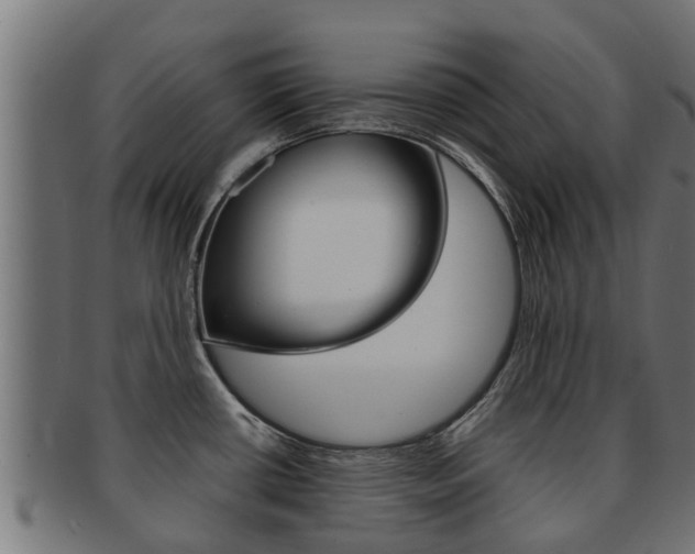X0000091961434200709061051
