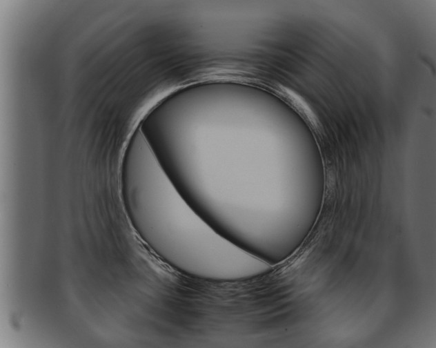 X0000091961435200709061051