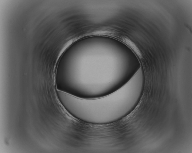 X0000091961436200709061051