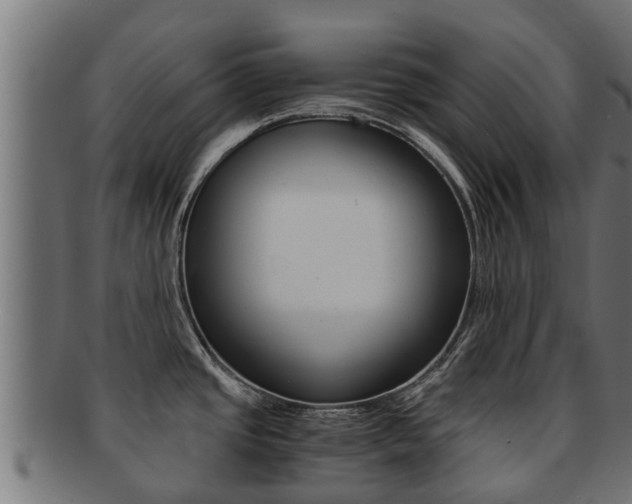 X0000091961437200709061051