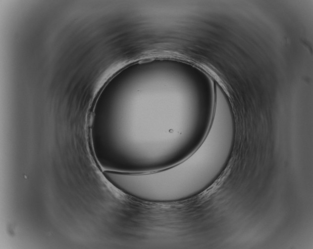 X0000091961438200709061051