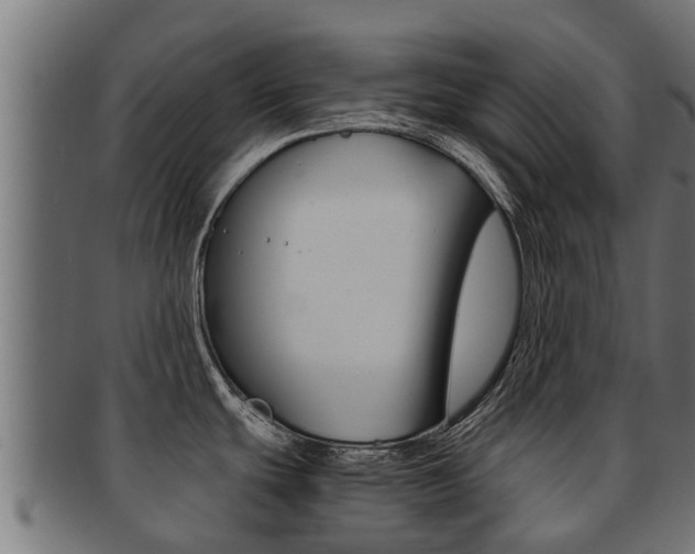 X0000091961439200709061051