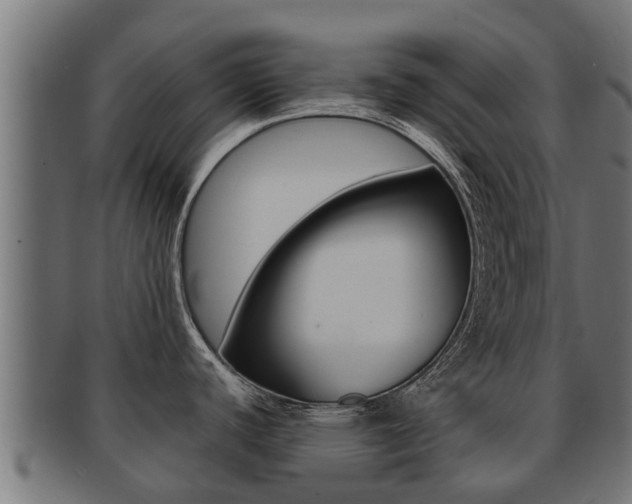 X0000091961440200709061051
