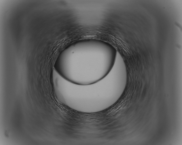 X0000091961441200709061050