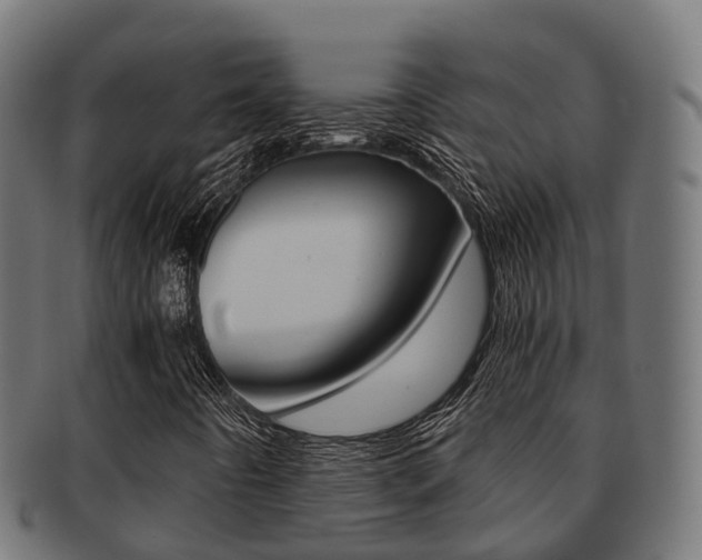 X0000091961442200709061050