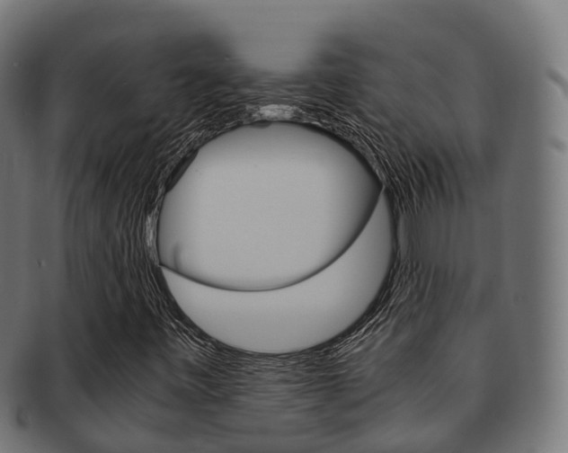 X0000091961443200709061050