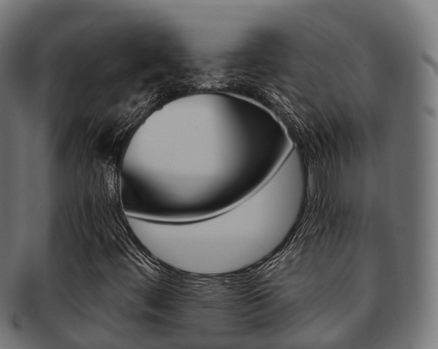 X0000091961444200709061050