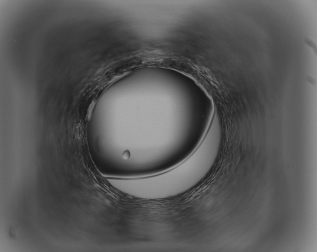 X0000091961445200709061050
