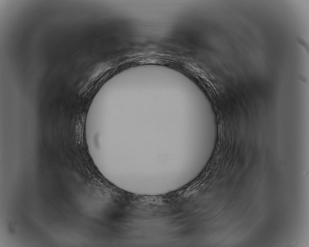 X0000091961446200709061050