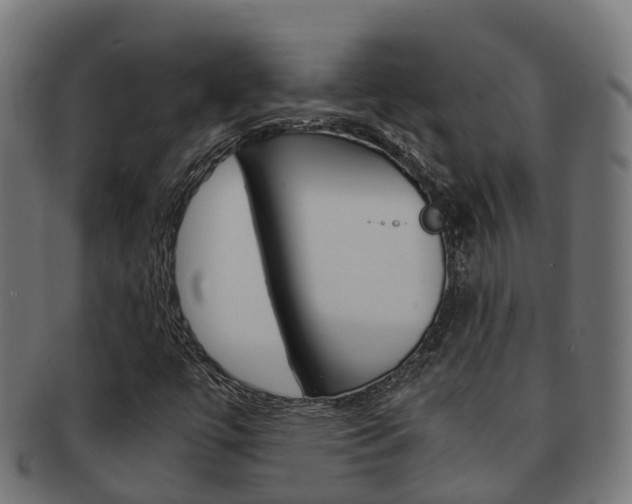 X0000091961447200709061050