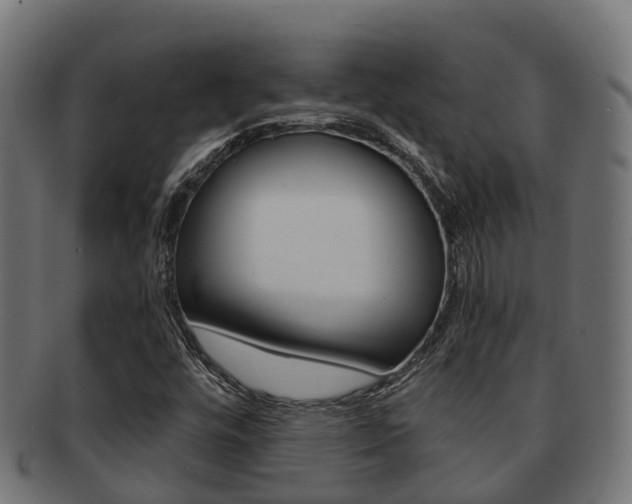 X0000091961448200709061050