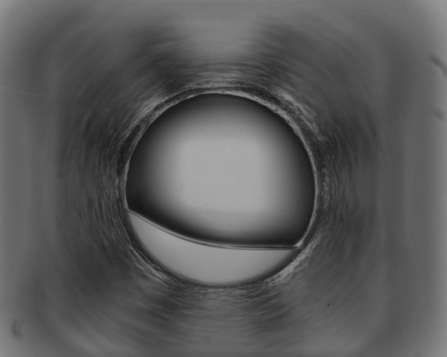 X0000091961449200709061050