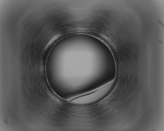 X0000091961450200709061050