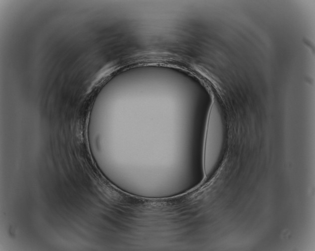 X0000091961451200709061050