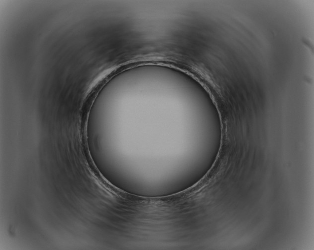 X0000091961452200709061050