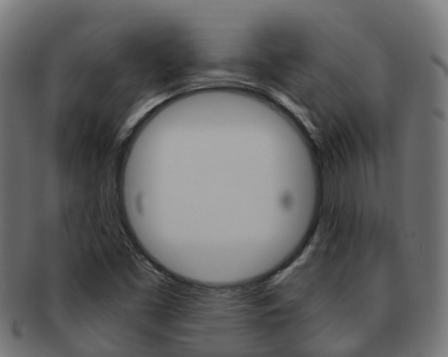 X0000091961453200709061050
