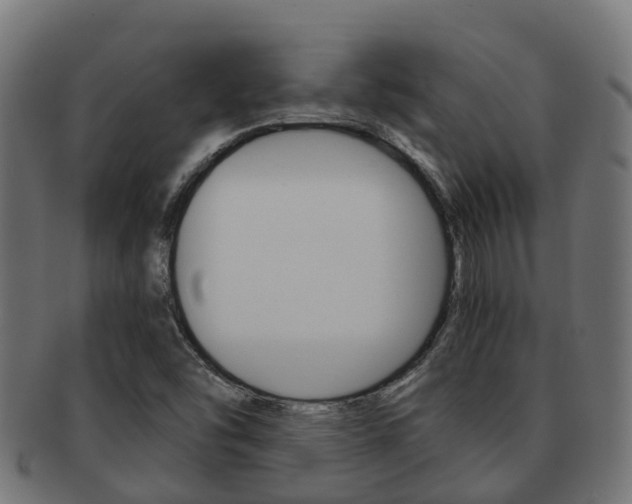 X0000091961454200709061050