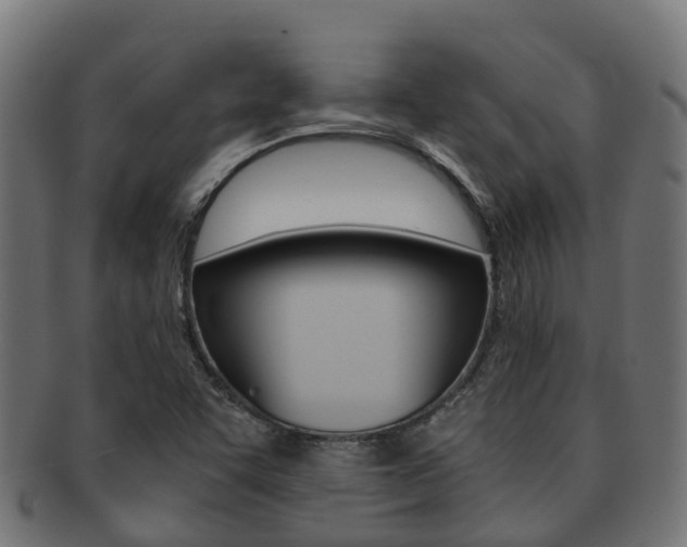 X0000091961455200709061050
