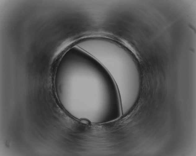 X0000091961456200709061050