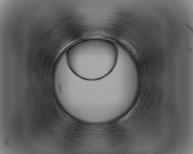 X0000091961457200709061050