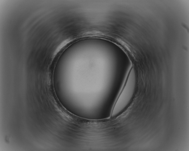 X0000091961458200709061050