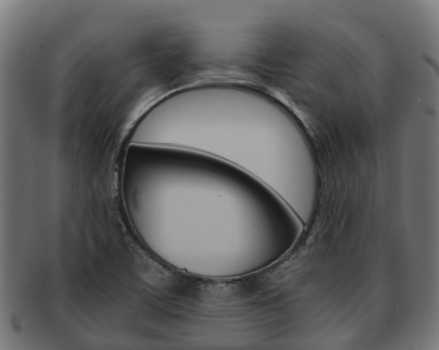 X0000091961459200709061050