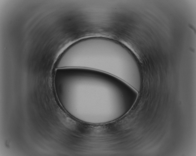 X0000091961460200709061050
