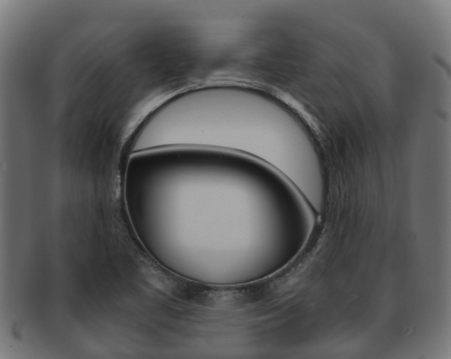 X0000091961461200709061050
