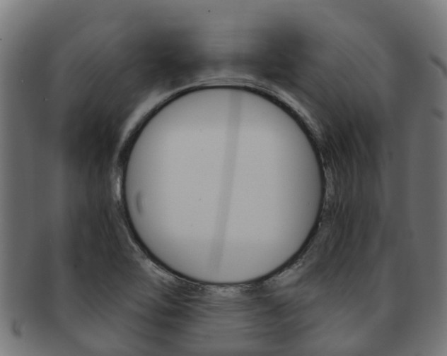 X0000091961462200709061050
