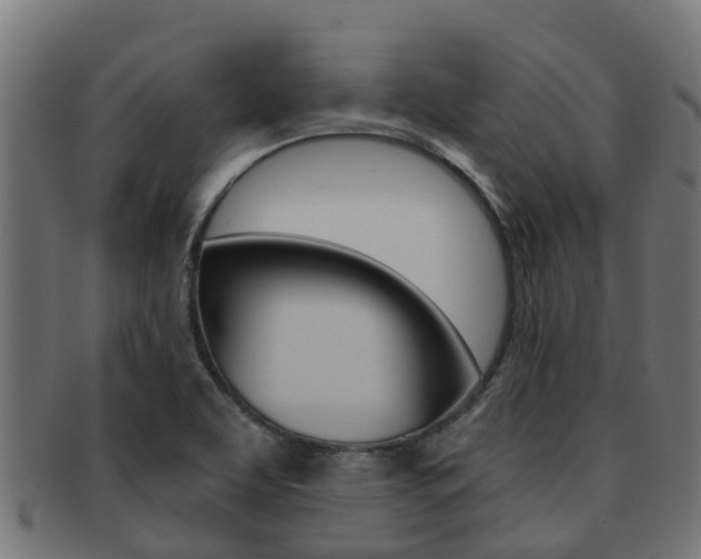 X0000091961463200709061050