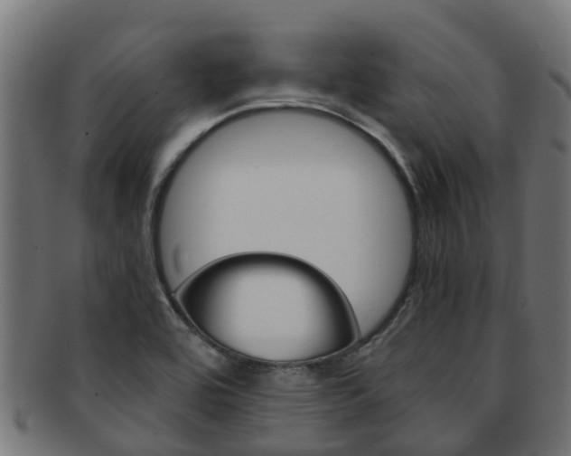 X0000091961464200709061050