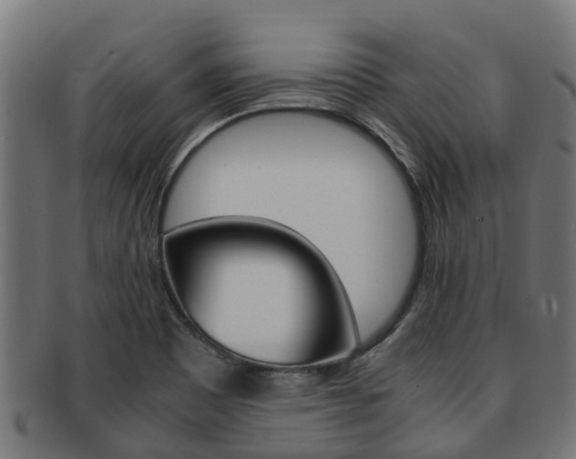 X0000091961465200709061050