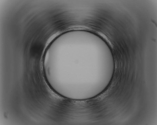 X0000091961466200709061050