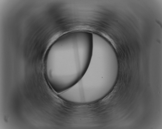 X0000091961467200709061050