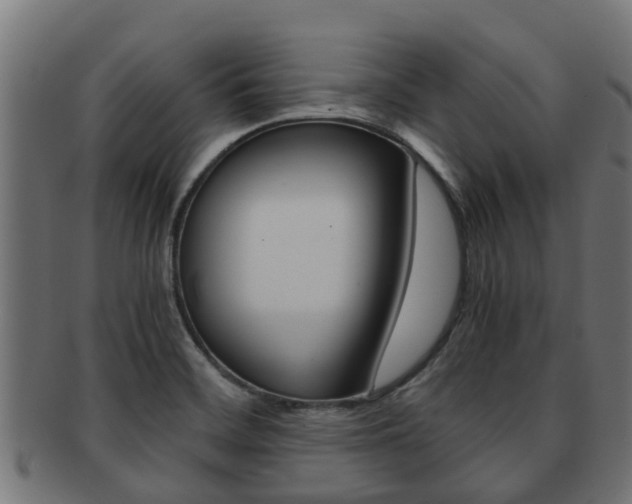 X0000091961468200709061050