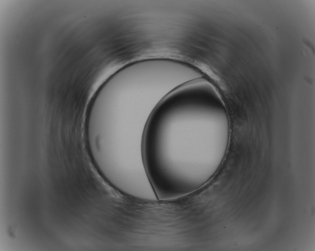 X0000091961469200709061050