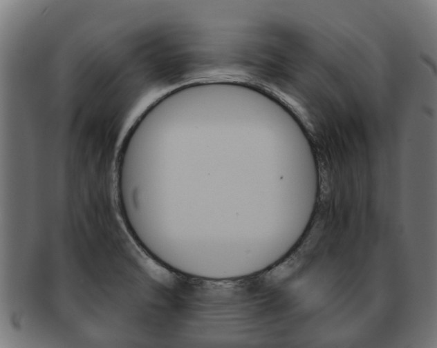X0000091961470200709061050