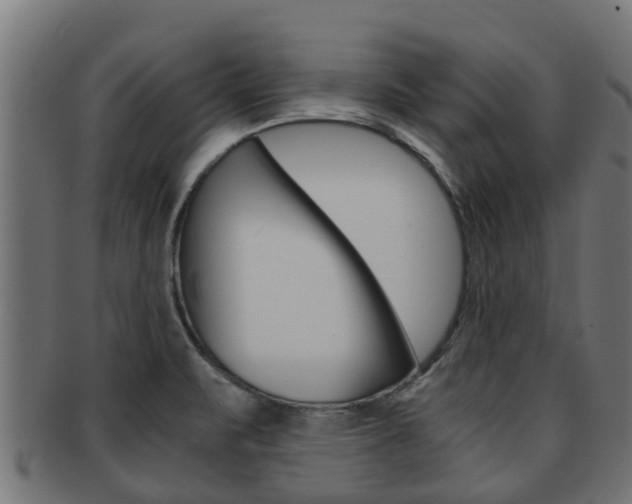 X0000091961471200709061050