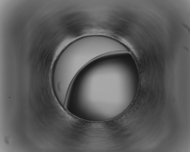 X0000091961472200709061050