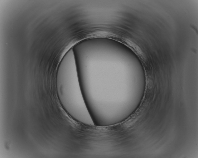 X0000091961473200709061050