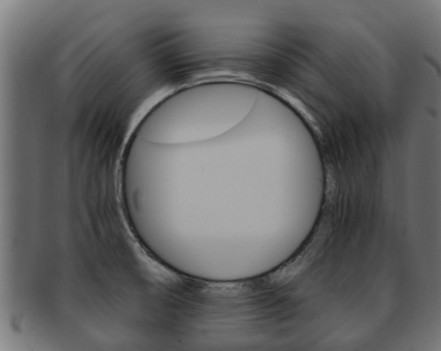 X0000091961474200709061050