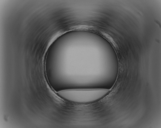 X0000091961475200709061050
