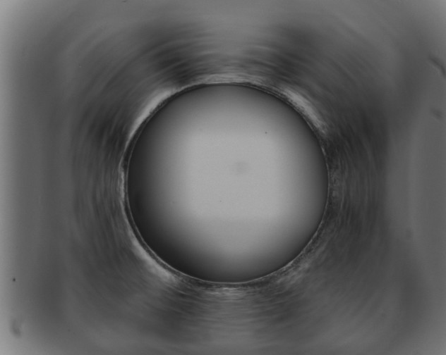 X0000091961476200709061050