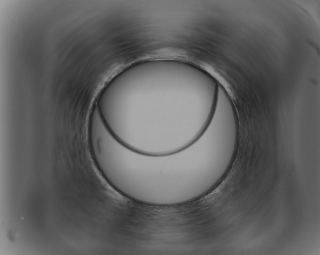 X0000091961477200709061050