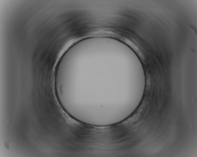 X0000091961478200709061050